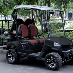 Easy 48V Electric Golf Cart 4 Seater Renegade Light Edition Utility Golf UTV - LIGHT EDITION - MATTE BLACK